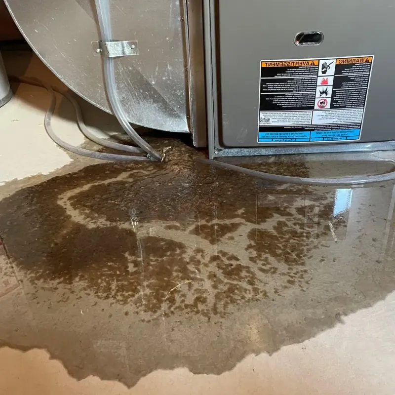 Pipe Burst and Leak Restoration in Jericho, VT